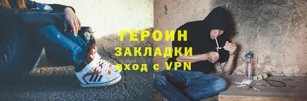 индика Козельск