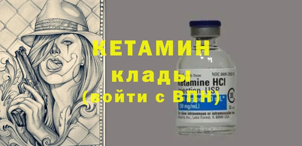 индика Козельск