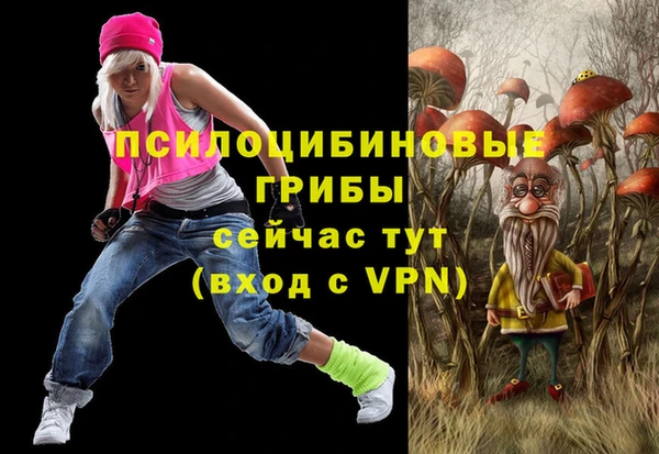 сатива Козловка