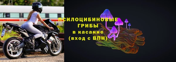 сатива Козловка