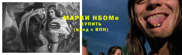 индика Козельск