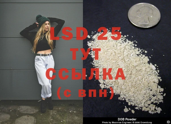индика Козельск