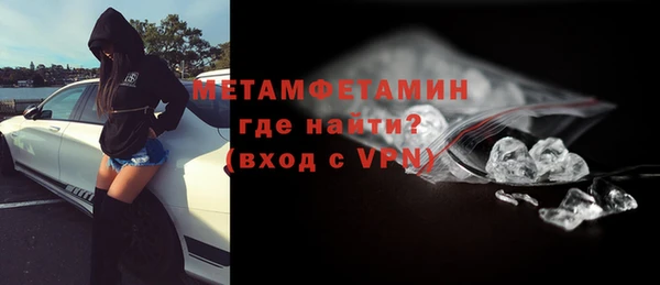 индика Козельск