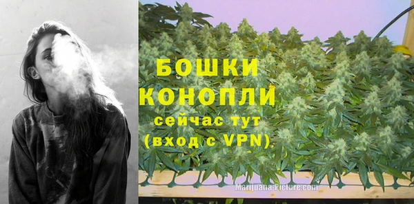 гидра Корсаков