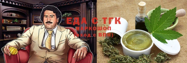 индика Козельск