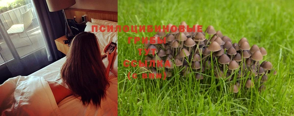 индика Козельск