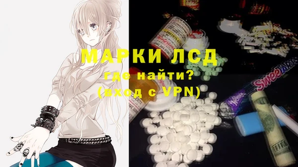 индика Козельск