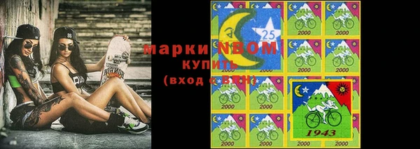индика Козельск