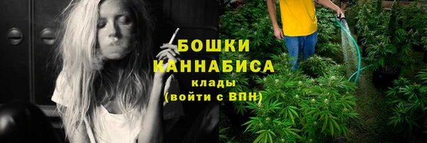 сатива Козловка