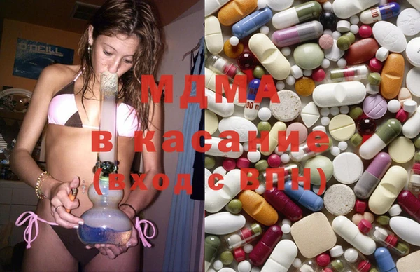 сатива Козловка