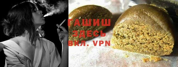 индика Козельск