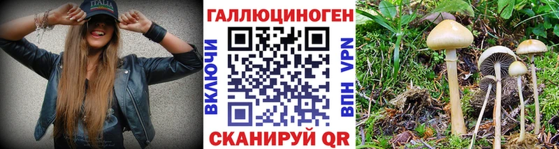 Псилоцибиновые грибы Cubensis  где продают   Мелеуз 